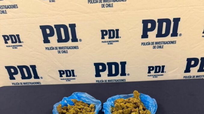 Detectives de la PDI incautan droga y elementos para su comercialización en operativo en Angol