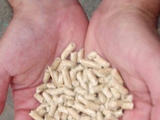 Bolsas de pellet disponibles para calefacción en un local comercial de Temuco.