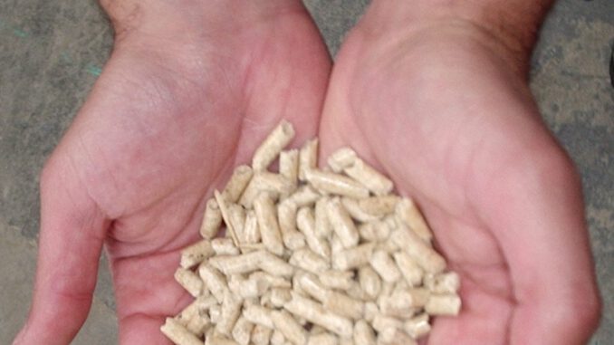 Bolsas de pellet disponibles para calefacción en un local comercial de Temuco.