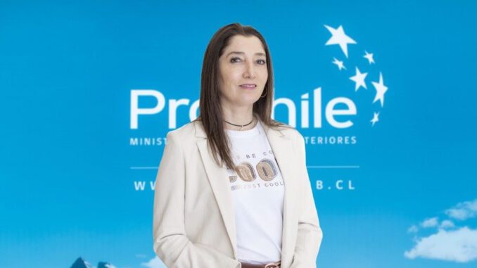 Directora regional de ProChile La Araucanía presentando los nuevos fondos para exportadores regionales.