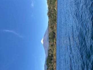 Paisaje del Lago Villarrica bajo cielos despejados con autoridades locales celebrando el plan de descontaminación