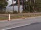 Ejemplar de puma macho adulto hallado sin vida en una ruta de Pailahueque en Ercilla