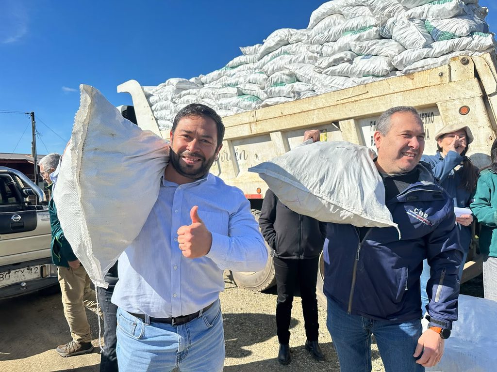 Entrega de sacos de alimento para ganado a pequeños agricultores en la comuna de Purén tras los temporales.