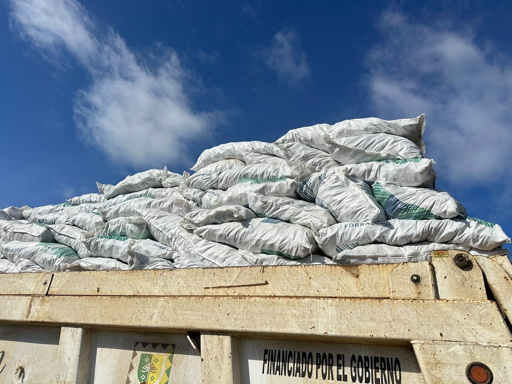 Entrega de sacos de alimento para ganado a pequeños agricultores en la comuna de Purén tras los temporales.