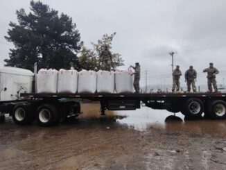 Entrega de sacos de avena forrajera a pequeños agricultores afectados por inundaciones en Carahue