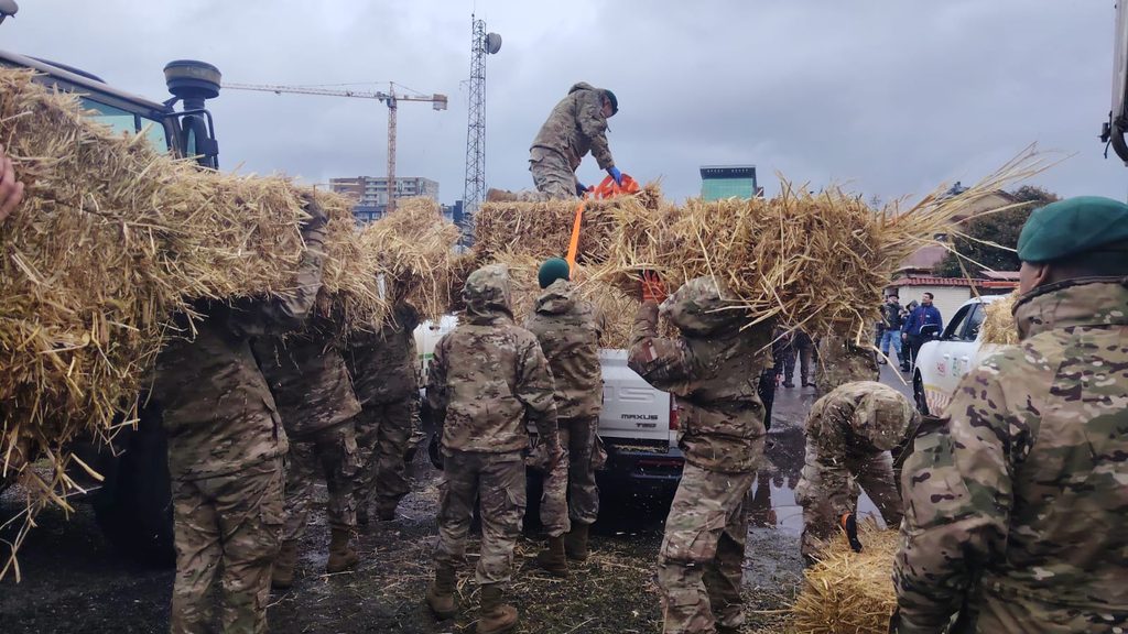 Entrega de forraje por parte de SOFO y el Ejército a agricultores afectados en Temuco