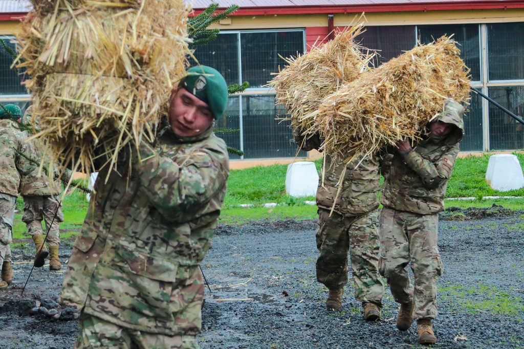 Entrega de forraje por parte de SOFO y el Ejército a agricultores afectados en Temuco