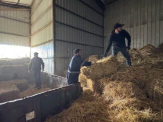 Entrega de fardos por parte de SOFO a agricultores afectados por el sistema frontal en Victoria