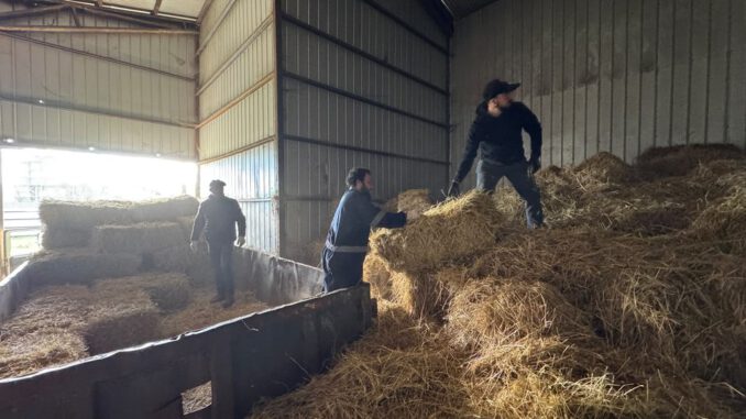 Entrega de fardos por parte de SOFO a agricultores afectados por el sistema frontal en Victoria