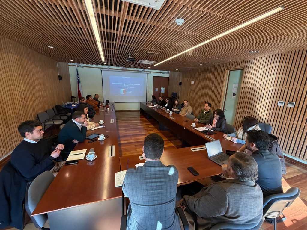 El Delegado Presidencial Víctor Manoli lidera mesa de trabajo con representantes del sector privado en Malleco para fomentar el crecimiento económico.