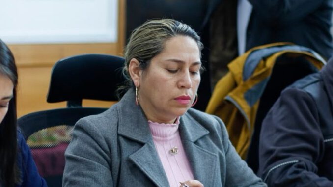 Alcaldes de diversas comunas de Malleco y Arauco reunidos en un encuentro por la descentralización