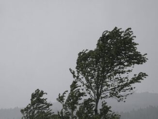 Personal de emergencia monitoreando condiciones climáticas y riesgo de vientos en la región de La Araucanía