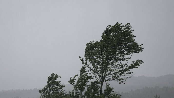 Personal de emergencia monitoreando condiciones climáticas y riesgo de vientos en la región de La Araucanía