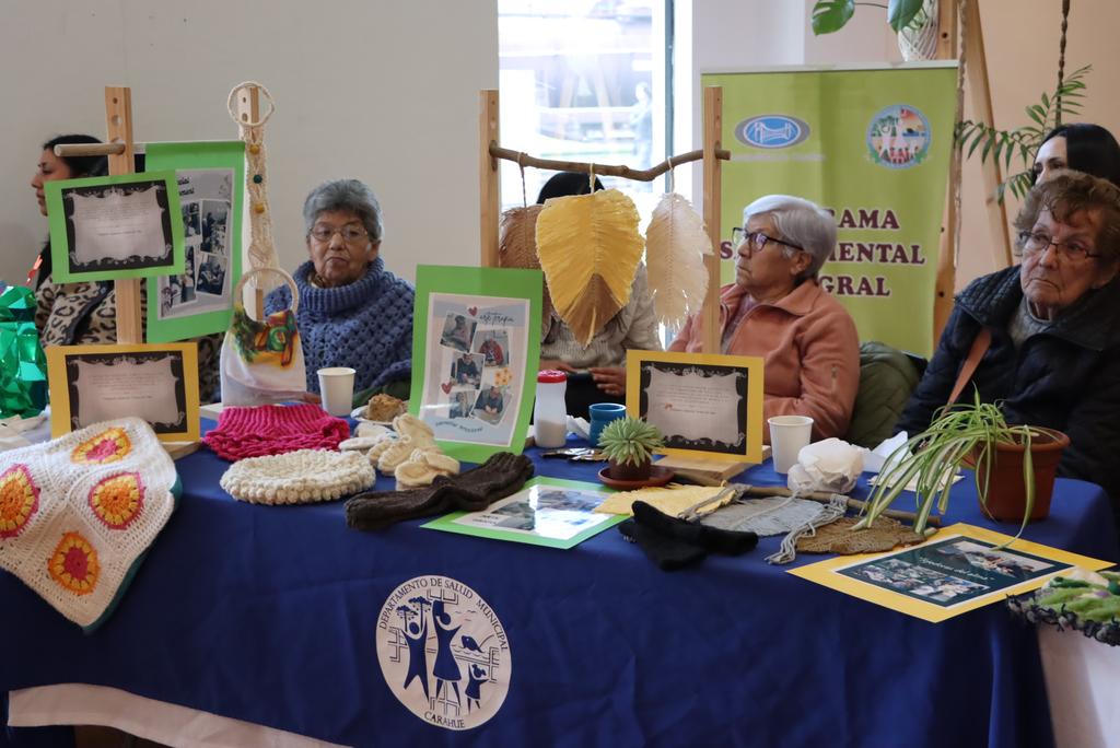 Participantes y profesionales de salud mental reunidos en una muestra de experiencias comunitarias en Araucanía Sur.