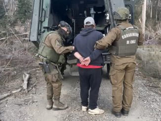 Carabineros de Chile realizando operativo en predio forestal de Ercilla contra la sustracción de madera