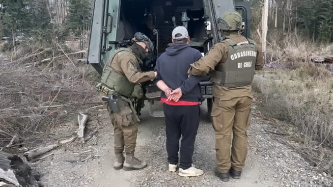 Carabineros de Chile realizando operativo en predio forestal de Ercilla contra la sustracción de madera