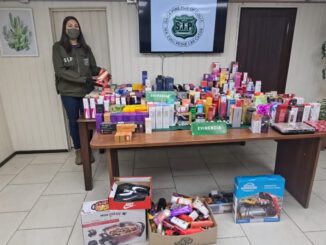 Especies recuperadas de la marca Natura tras operativo policial en Padre Las Casas
