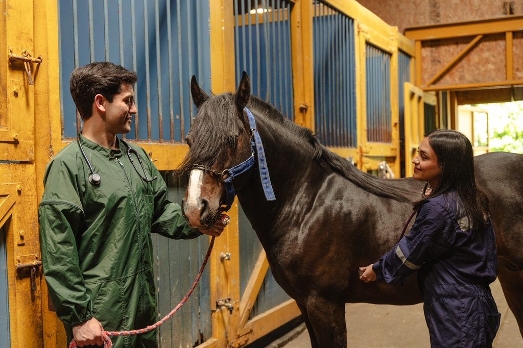 Campus y laboratorios de Ciencias Veterinarias y Agrarias de la UACh destacados en el Ranking de Shanghai