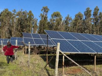 Representantes de comunidades indígenas participando en proyectos ambientales en Chile