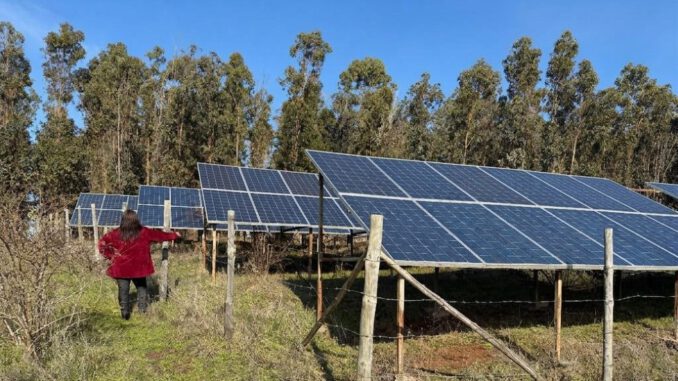 Representantes de comunidades indígenas participando en proyectos ambientales en Chile