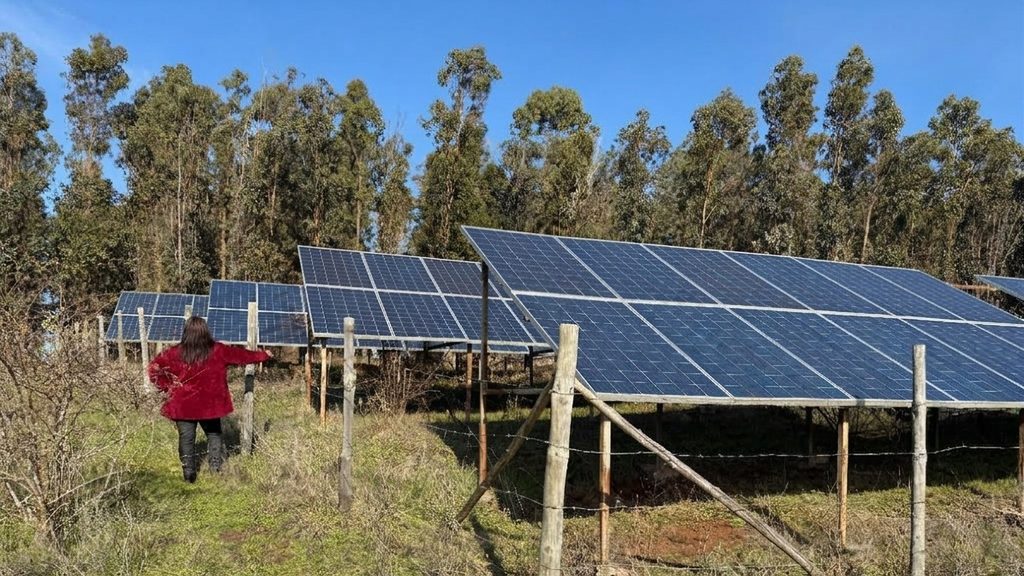 CONADI ABRE CONVOCATORIA PARA FINANCIAR PROYECTOS AMBIENTALES DE COMUNIDADES INDÍGENAS EN CHILE