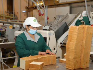 Trabajadores y mercado laboral en la región de La Araucanía tras informe del INE