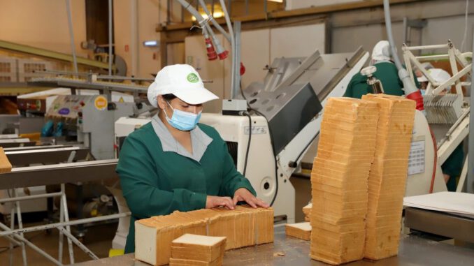 Trabajadores y mercado laboral en la región de La Araucanía tras informe del INE
