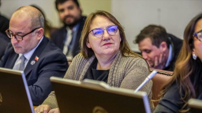 Diputada Flor Contreras hablando sobre la devolucion del IVA en panales y medicamentos