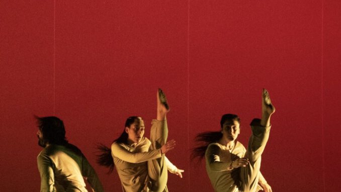 Bailarines de danza contemporanea realizando una interpretacion artistica al aire libre en La Araucania durante el Festival MAGMA