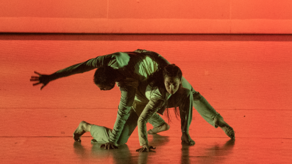Bailarines de danza contemporanea realizando una interpretacion artistica al aire libre en La Araucania durante el Festival MAGMA