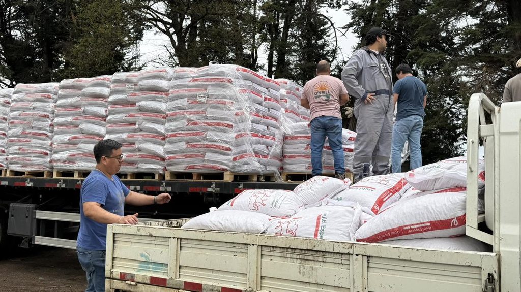 Entrega de ayuda a agricultores y familias damnificadas por el sistema frontal en La Araucanía