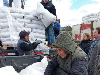 Entrega de concentrado alimenticio para ganado por parte de INDAP a productores de La Araucanía