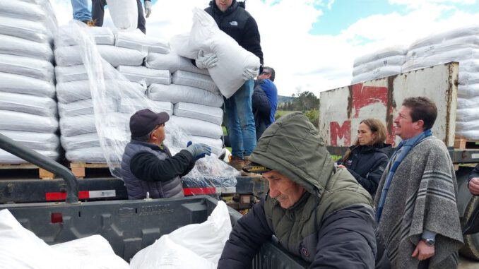 Entrega de concentrado alimenticio para ganado por parte de INDAP a productores de La Araucanía