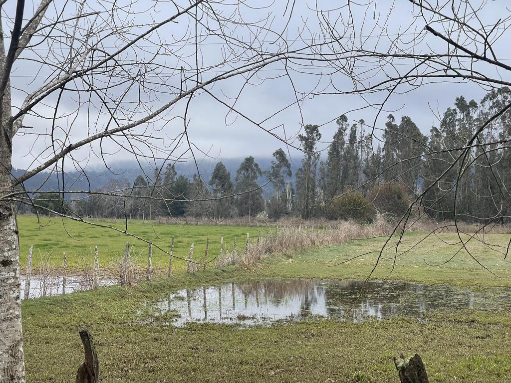 Especialistas de INIA Carillanca analizan praderas dañadas por inundaciones en La Araucanía