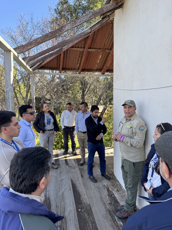 Personal técnico y maquinaria trabajando en la reparación de senderos dentro del Parque Nacional Bosque Fray Jorge tras el temporal.