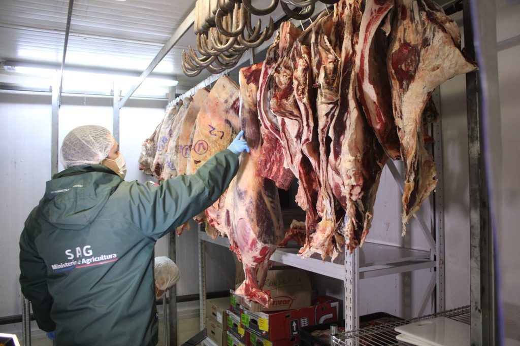Autoridades fiscalizando cortes de carne en un establecimiento de La Araucanía previo a Fiestas Patrias.