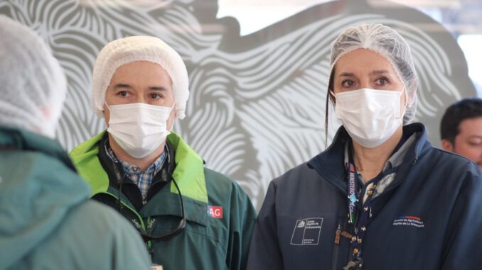 Autoridades fiscalizando cortes de carne en un establecimiento de La Araucanía previo a Fiestas Patrias.