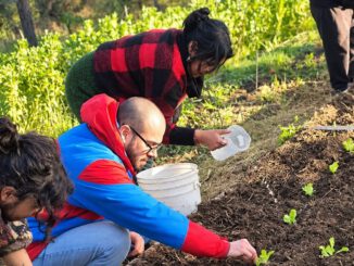 Investigador del INIA explorando sistemas productivos orgánicos y sustentables durante una gira técnica en el sur de Chile