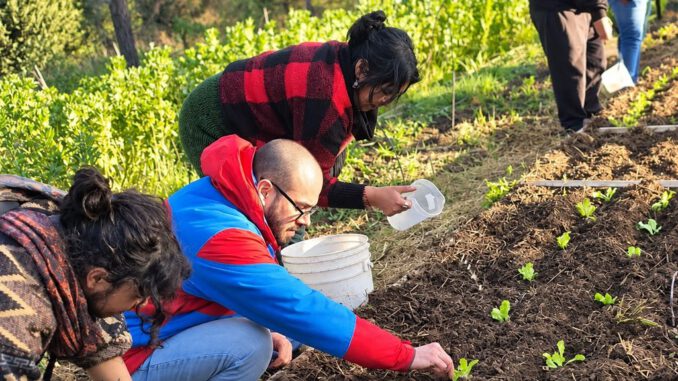 Investigador del INIA explorando sistemas productivos orgánicos y sustentables durante una gira técnica en el sur de Chile