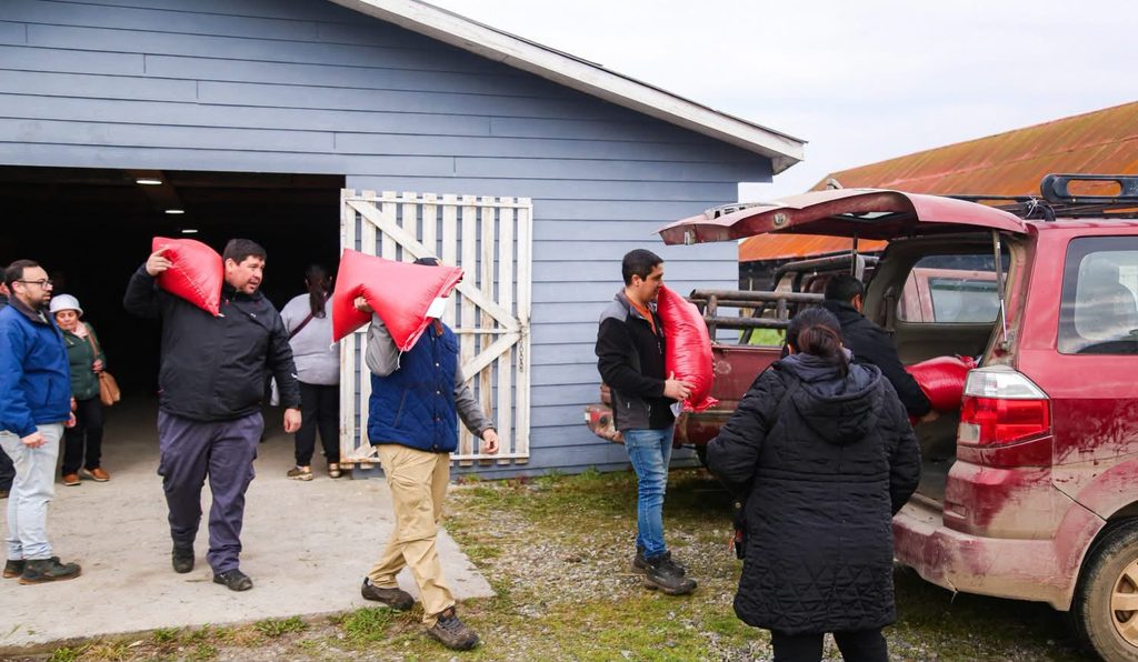 Entrega de sacos de alimento y avena a agricultores locales por parte de la municipalidad de Loncoche