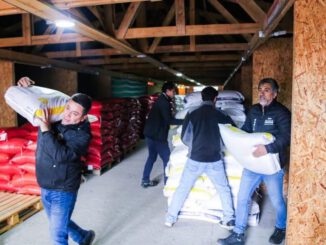 Entrega de sacos de alimento y avena a agricultores locales por parte de la municipalidad de Loncoche