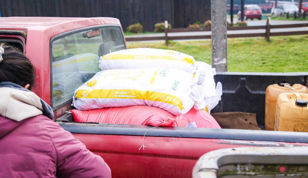 Entrega de sacos de alimento y avena a agricultores locales por parte de la municipalidad de Loncoche
