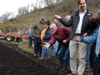 Autoridades y productores rurales participando en una jornada de siembra de alfalfa en el sector de Ranquil, Lonquimay.