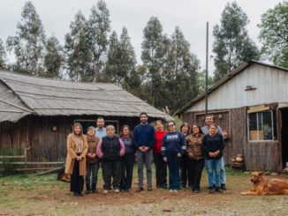 Alfareras mapuche de Piutril utilizando el nuevo horno para cocción de cerámica tradicional en Collipulli
