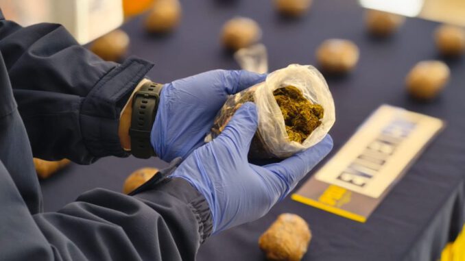 Detectives de la PDI incautan cargamento de cocaína oculto en un vehículo en la ciudad de Angol