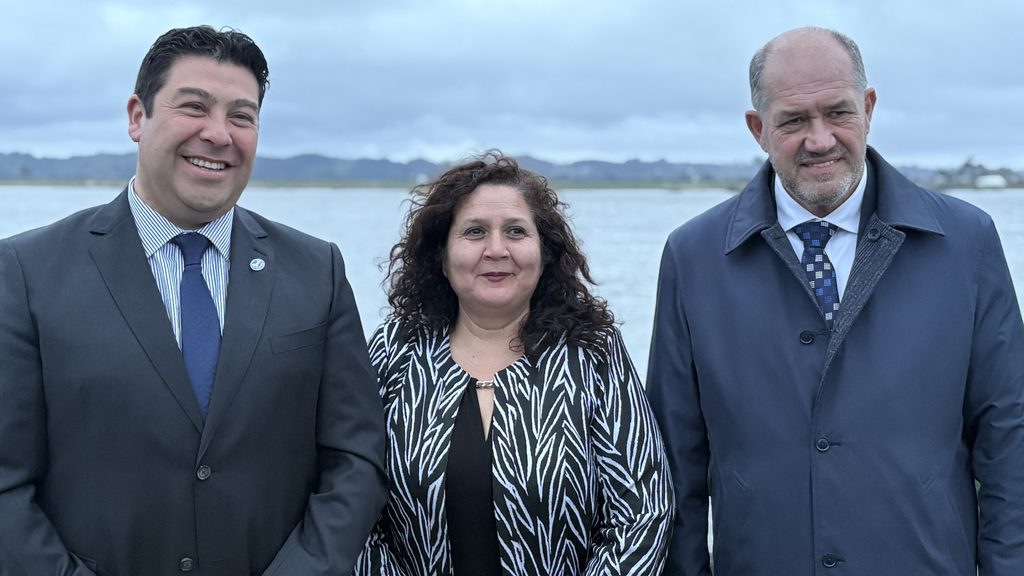 Delegado presidencial regional anuncia la aprobación técnica del proyecto de alcantarillado para la localidad de Nehuentúe.