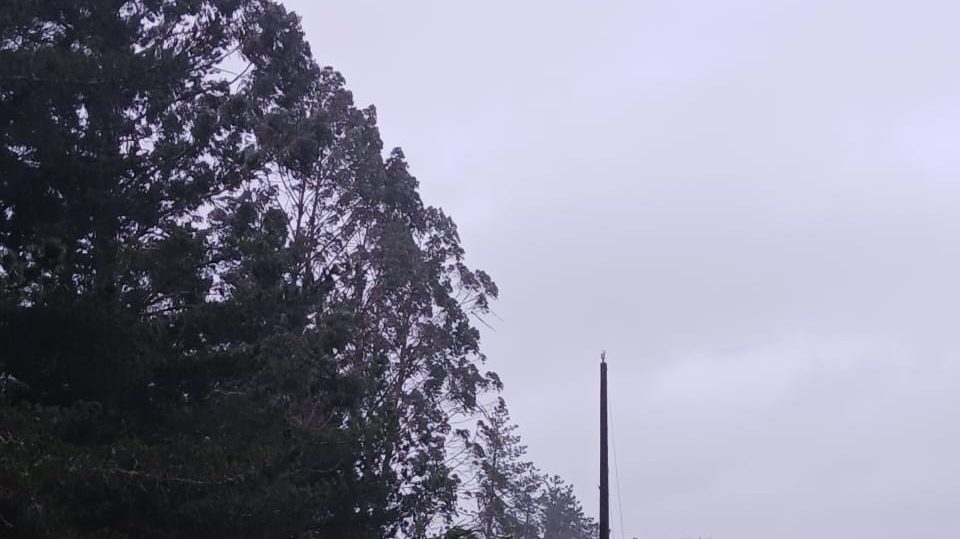 Saesa activa monitoreo preventivo en la zona sur ante el ingreso de un nuevo sistema frontal