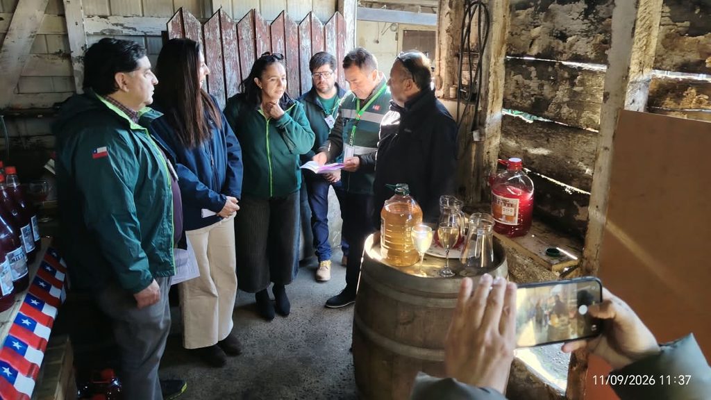 Funcionarios del SAG realizando una inspección de calidad en la venta de chicha y vino pipeño en un local comercial.
