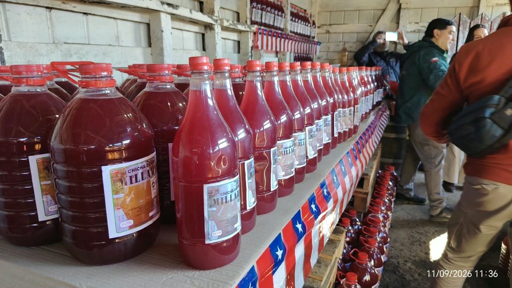 Funcionarios del SAG realizando una inspección de calidad en la venta de chicha y vino pipeño en un local comercial.
