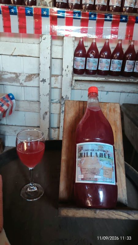 Funcionarios del SAG realizando una inspección de calidad en la venta de chicha y vino pipeño en un local comercial.